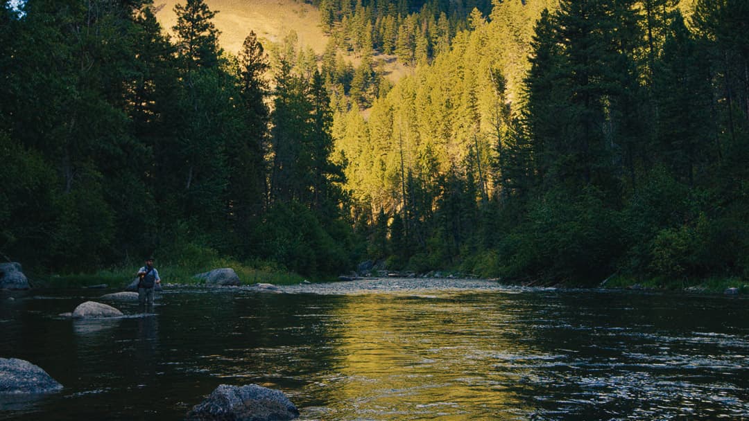 Orvis - The Last Great Place